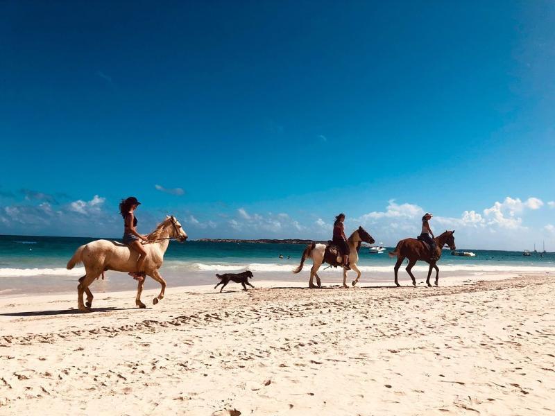 Hotel La Playa Orient Bay Zewnętrze zdjęcie